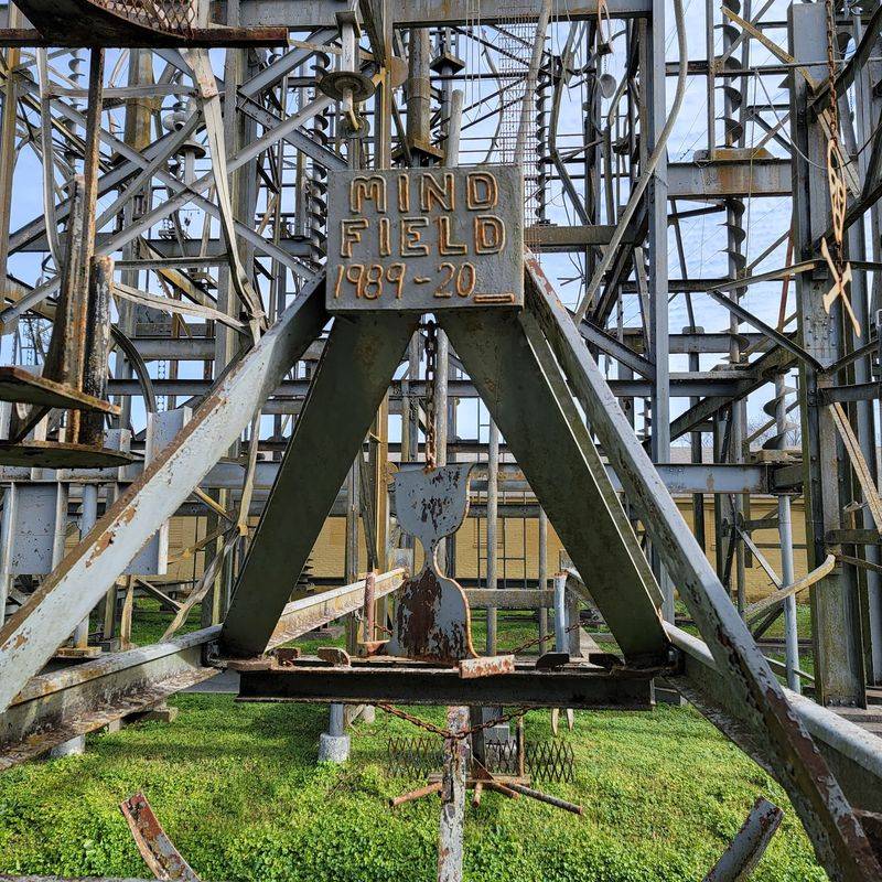 What to Know Before Visiting The Mindfield in Brownsville What to Know Before Visiting The Mindfield in Brownsville