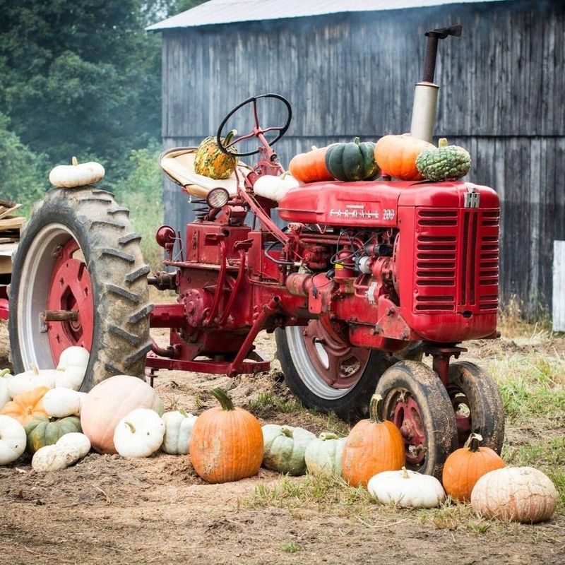 What to Know Before Visiting the Nashville Fall Festival What to Know Before Visiting the Nashville Fall Festival