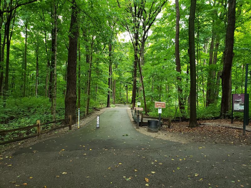 Where the Woods Open With a Story Where the Woods Open With a Story
