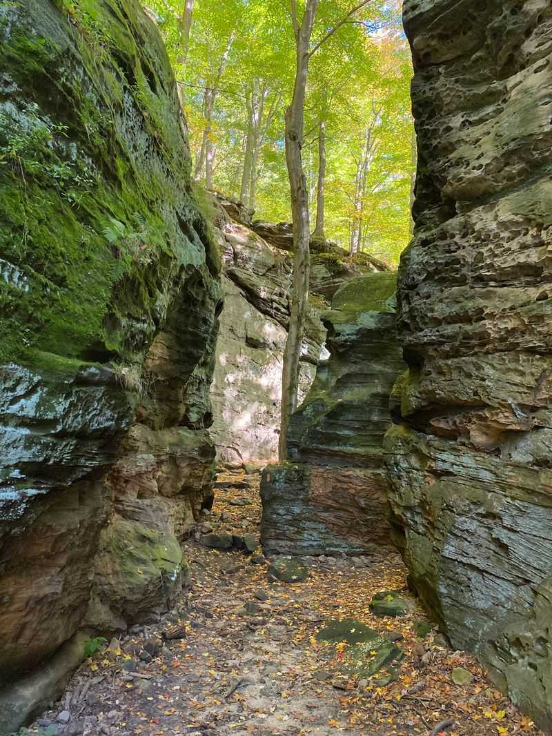 Whipp’s Ledges Trail, Hinckley, Medina County