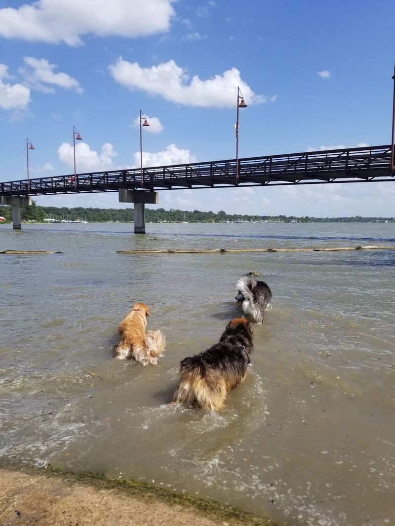 White Rock Lake Dog Park (Dallas) White Rock Lake Dog Park (Dallas)