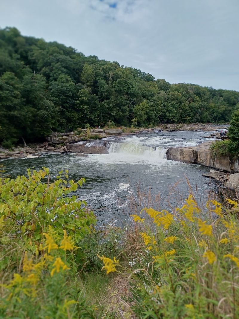 Whitewater Rafting On The Youghiogheny River