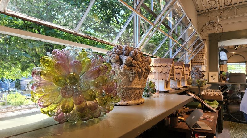 Why Even Window Shoppers Find Plenty to Study Why Even Window Shoppers Find Plenty to Study