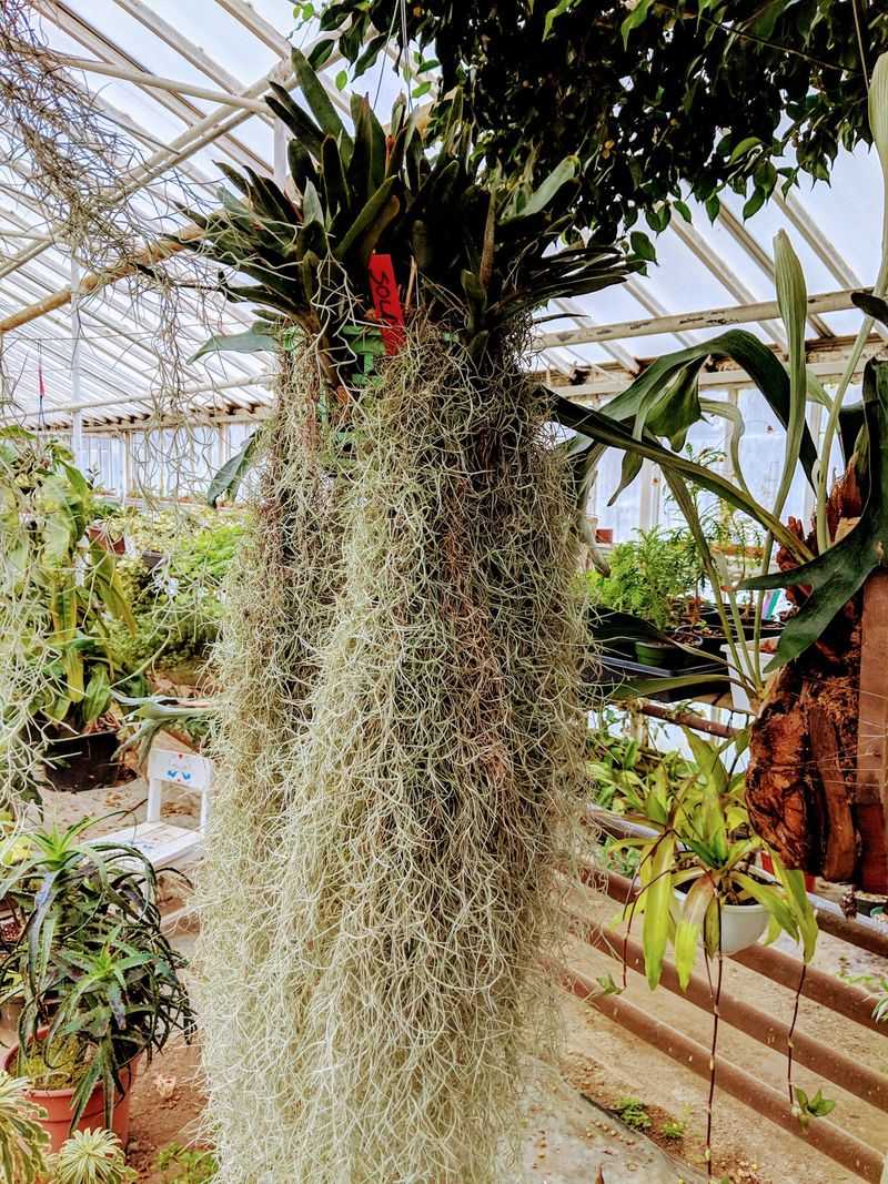 Why Graye’s Stands Apart From the Standard Garden Center Run