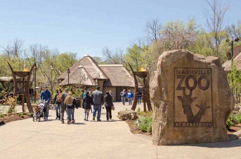 Why Nashville Zoo Is Worth Setting Aside a Full Day For Why Nashville Zoo Is Worth Setting Aside a Full Day For