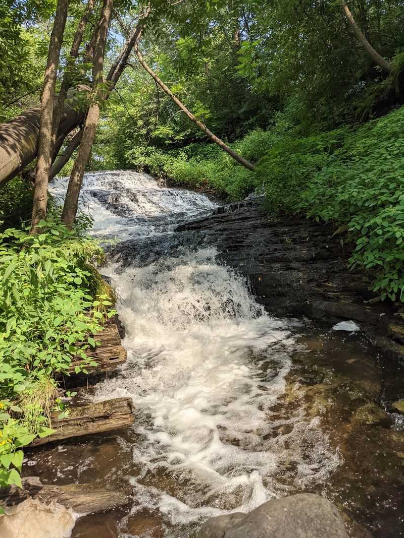 Why Osceola Feels Like the Perfect Setting Why Osceola Feels Like the Perfect Setting