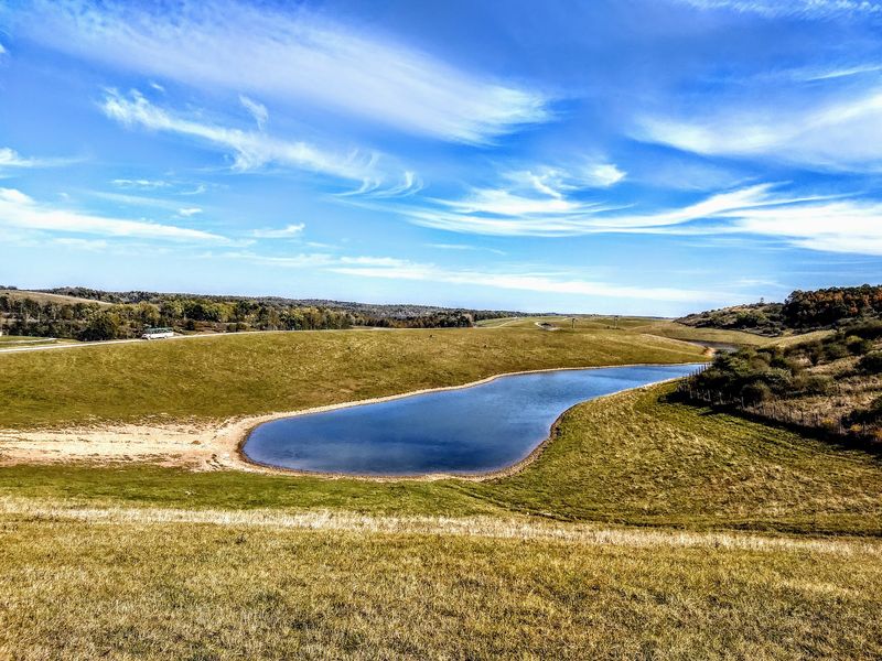 Why The Open-Range Size Stands Out Why The Open-Range Size Stands Out