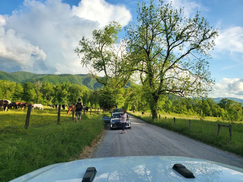 Why This 11-Mile Tennessee Drive Stays With You Why This 11-Mile Tennessee Drive Stays With You