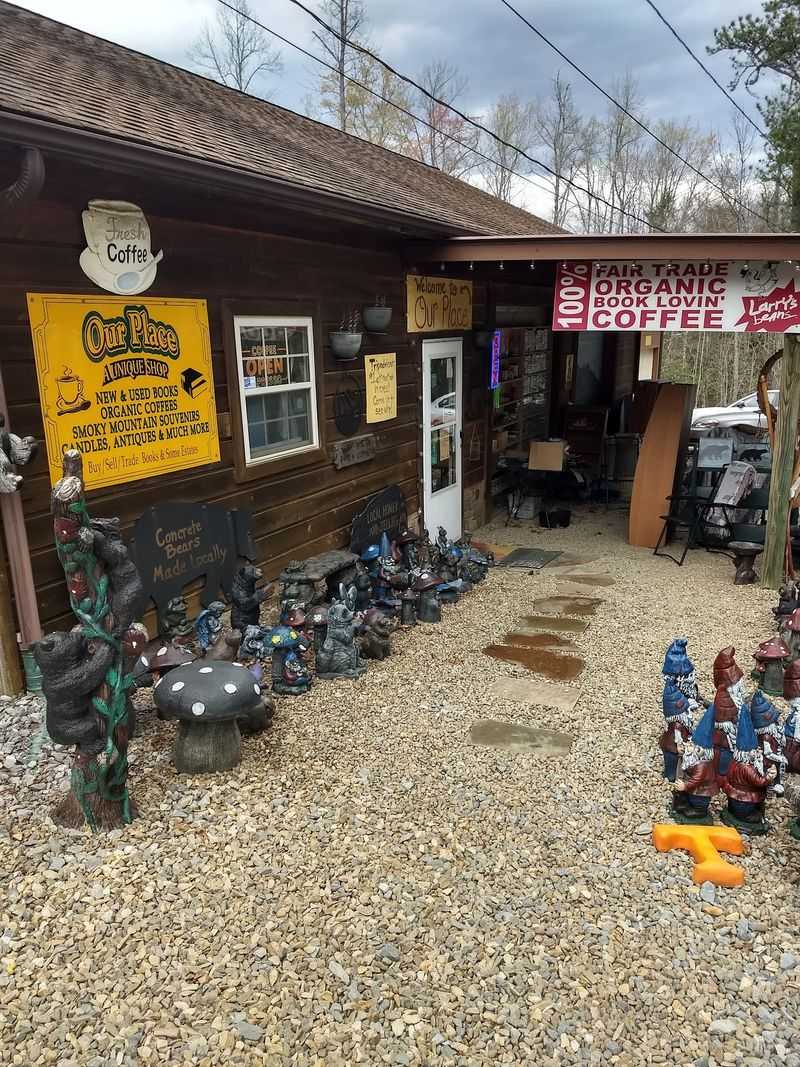 Why This Cosby Bookshop Is Worth Adding to Your Tennessee Trip
