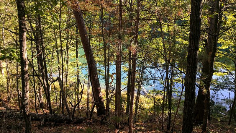 Why This Forest Headquarters Stands Out in Elk Season Why This Forest Headquarters Stands Out in Elk Season