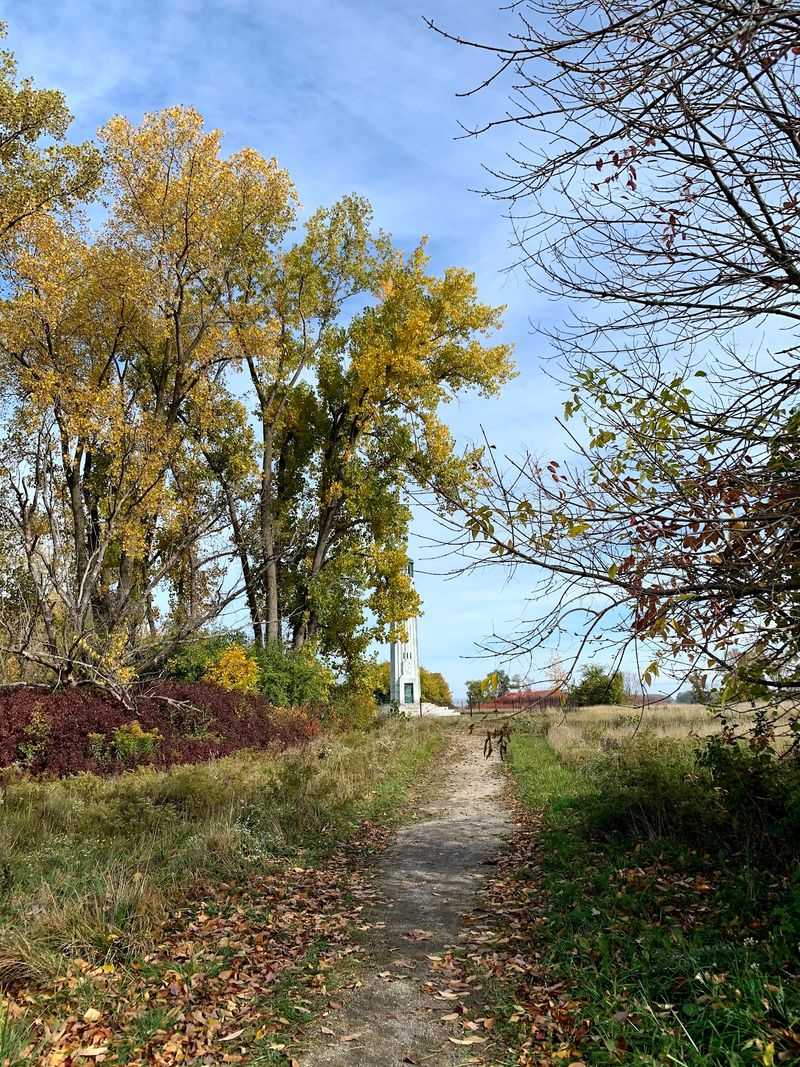 Why This Quiet Corner Lingers After the Crowds