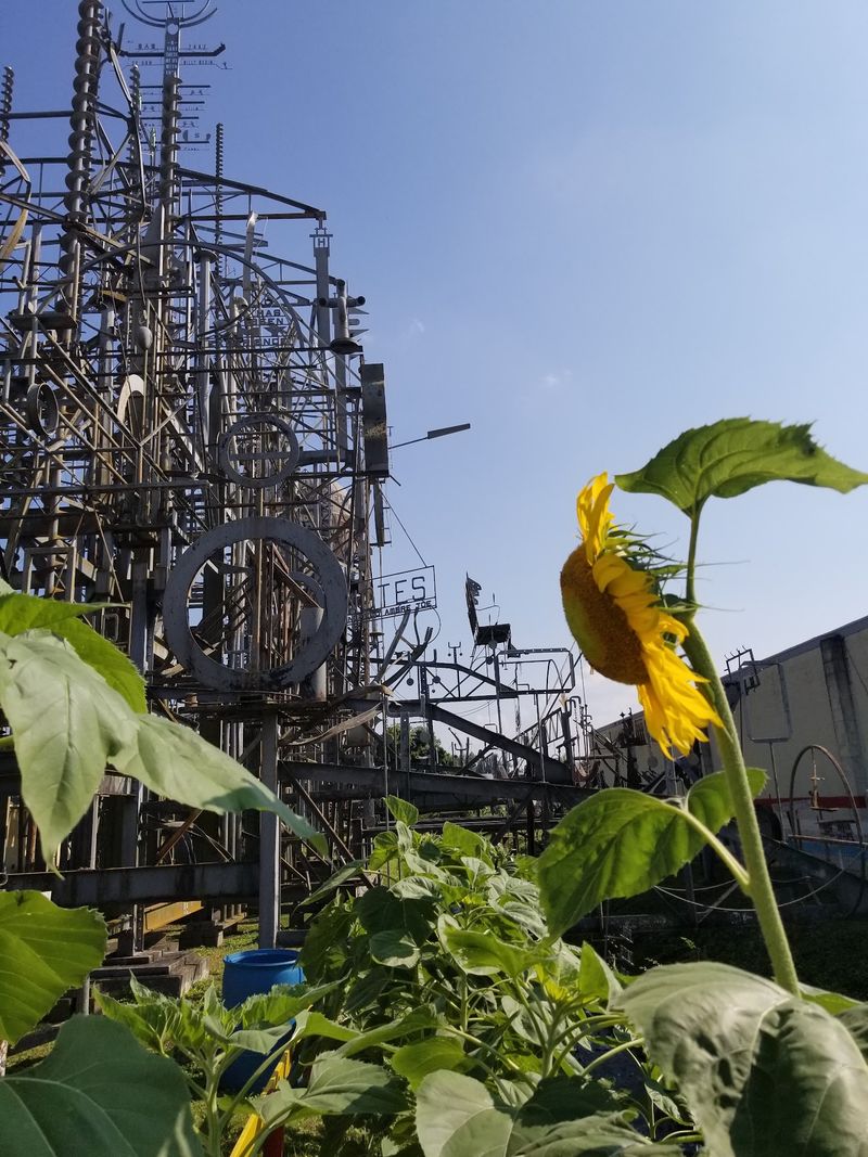Why This Unusual Tennessee Attraction Is Worth Knowing About Why This Unusual Tennessee Attraction Is Worth Knowing About