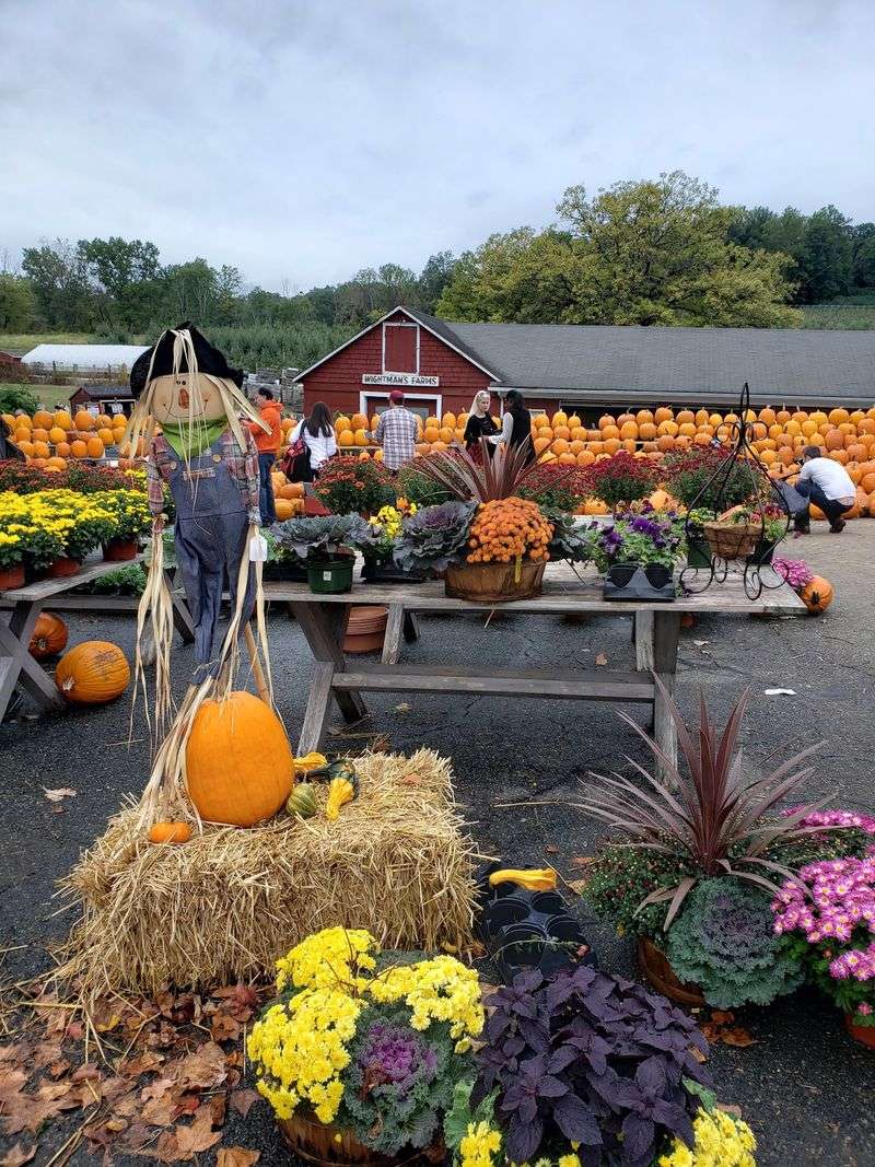 Wightman Farms Bakery - Morristown