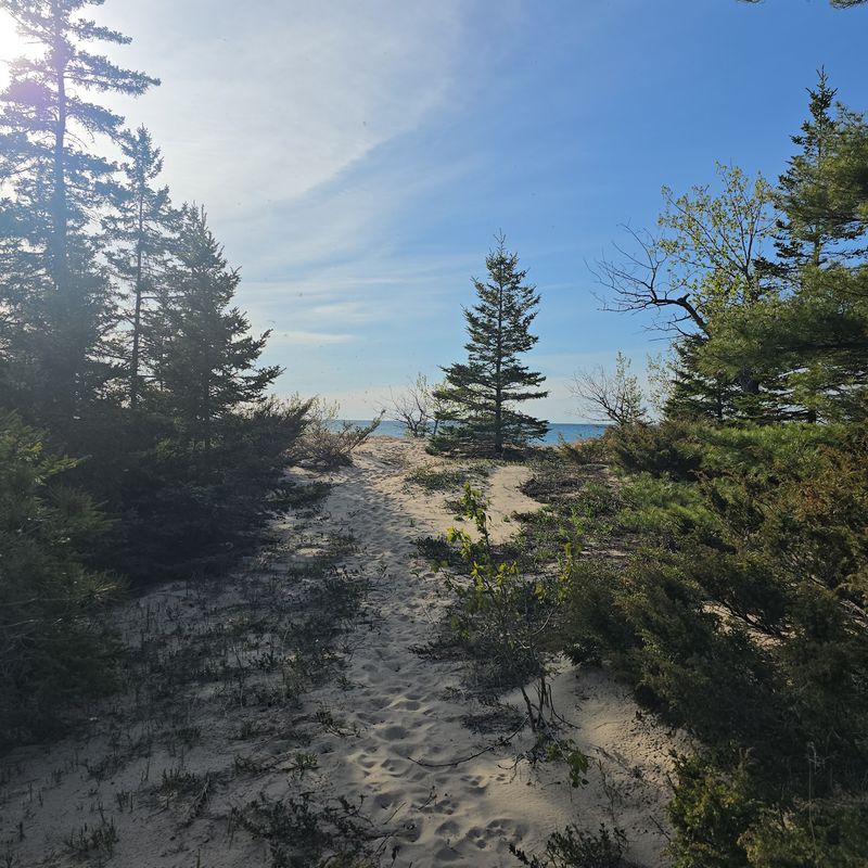 Wilderness State Park Trails - Carp Lake Wilderness State Park Trails - Carp Lake