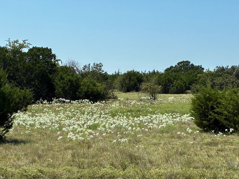 Wildflowers and Wildlife Make Every Season Special