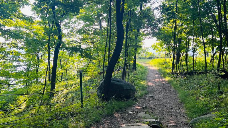 Wildlife Adds Even More Life to the View
