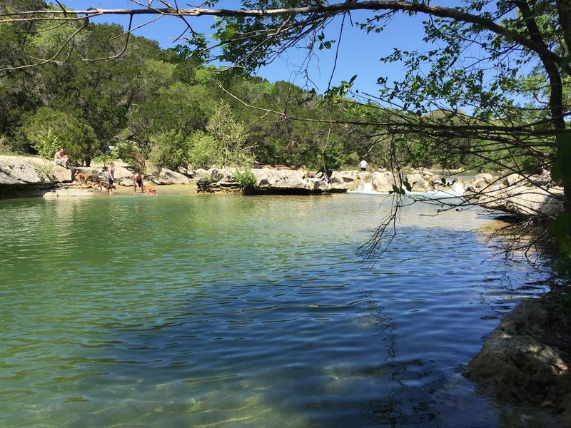 Wildlife And Natural Surroundings Wildlife And Natural Surroundings