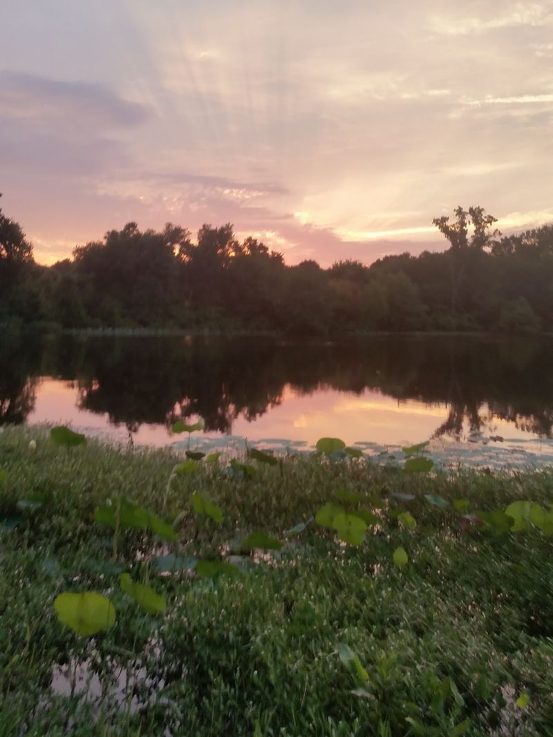 Wildlife And Scenic Beauty Beyond Bass Wildlife And Scenic Beauty Beyond Bass