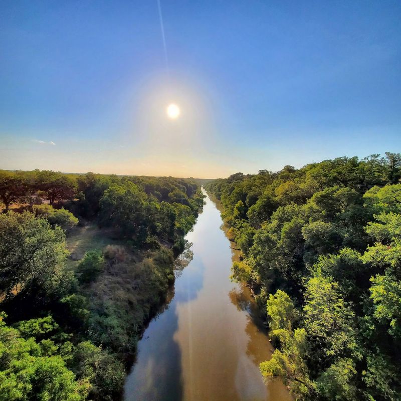 Wildlife Spotting From High Above The Water