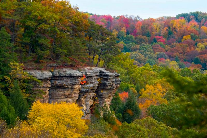 Wildlife and Natural Beauty Throughout the Seasons Wildlife and Natural Beauty Throughout the Seasons