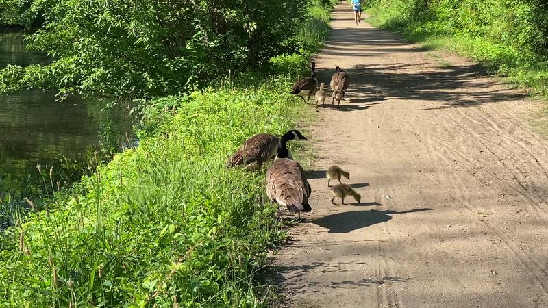 Wildlife and Waterside Views Around Every Bend Wildlife and Waterside Views Around Every Bend