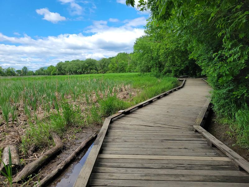 Wildwood Park - Harrisburg Wildwood Park - Harrisburg