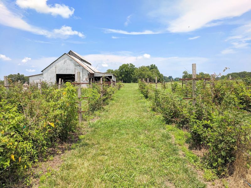 Williamson Family Farm – Murfreesboro Williamson Family Farm – Murfreesboro