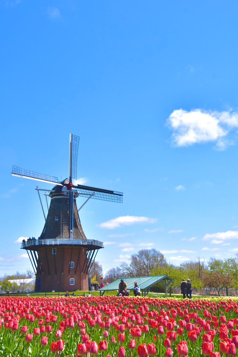 Windmill Island Gardens - Holland Windmill Island Gardens - Holland