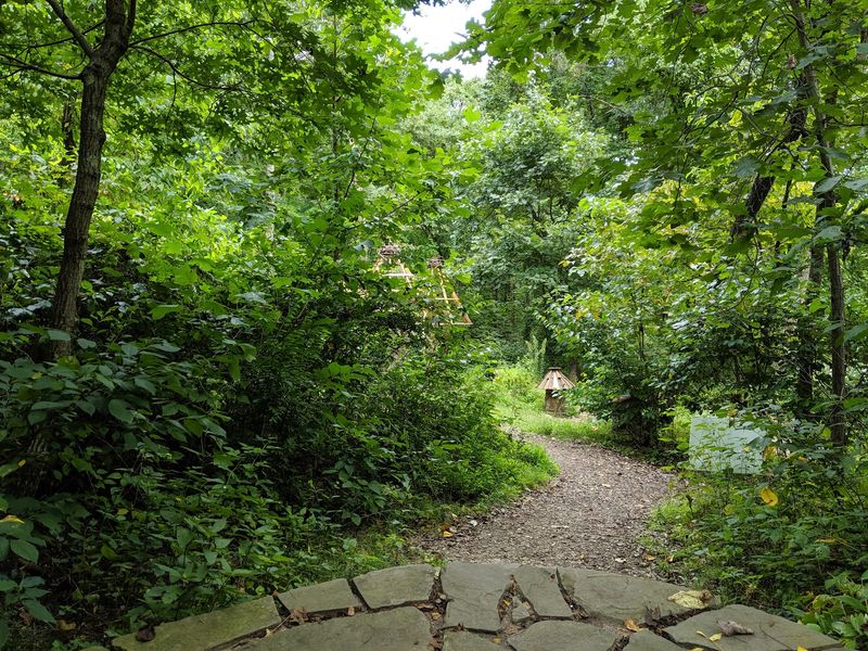 Woodland Trails Make the Story Feel Real Woodland Trails Make the Story Feel Real