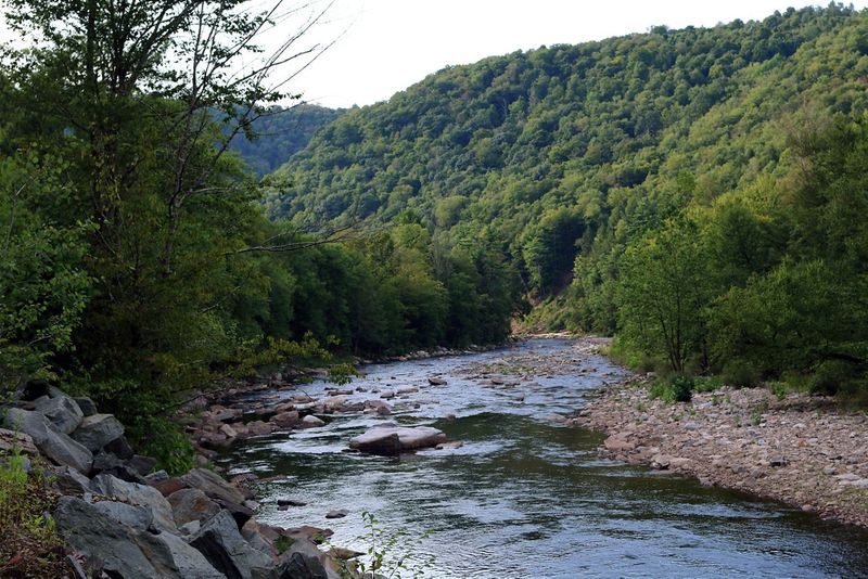 Worlds End State Park, Forksville
