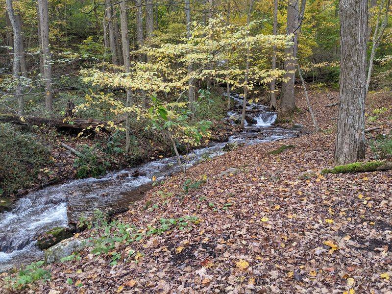 Worthington State Forest and the Delaware Water Gap, Columbia