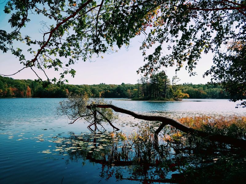 Yankee Springs Recreation Area: Glacier Leftovers and Lazy Lakes