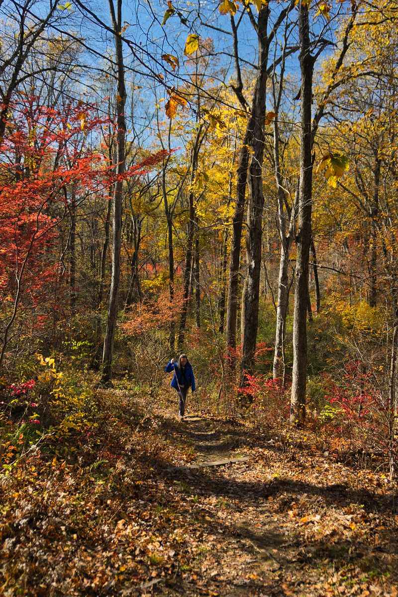 Yellow Trail - Jockey Hollow Yellow Trail - Jockey Hollow
