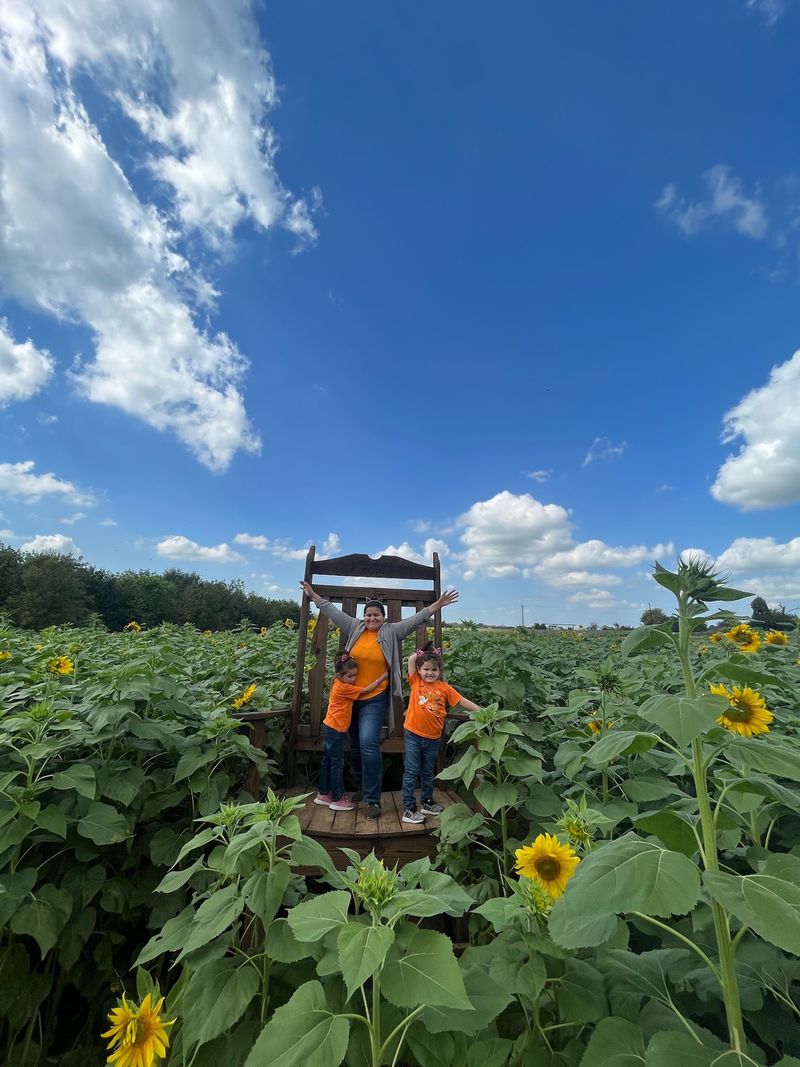 Yesterland Farm (Canton)