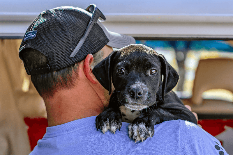 Young-Williams Animal Center - Knoxville Young-Williams Animal Center - Knoxville
