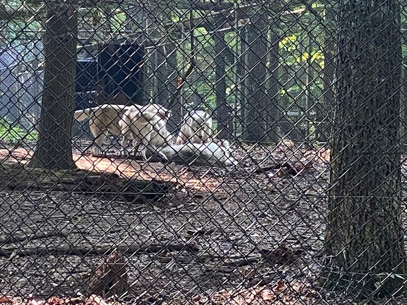 Bays Mountain Park & Planetarium – Kingsport