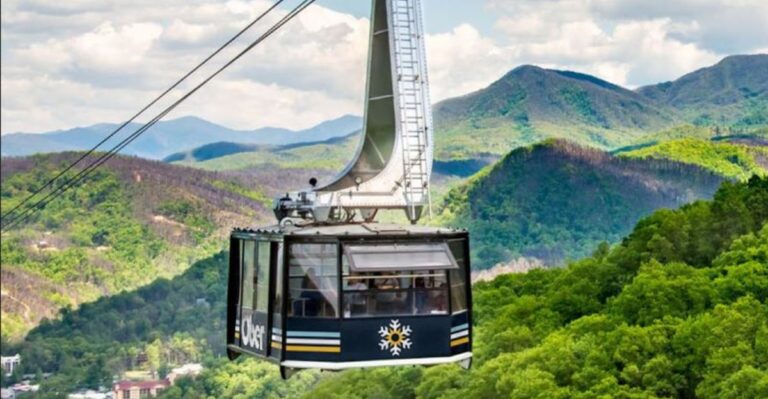 A Breathtaking Aerial Tram Takes Families To The Top Of A Tennessee Mountain
