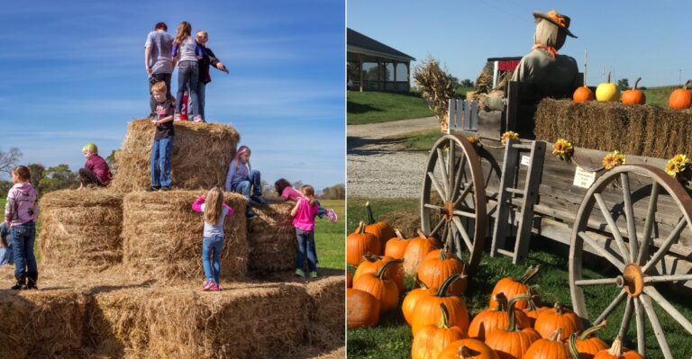 A Charming Ohio Farm Offers A Sweet Escape From The Everyday
