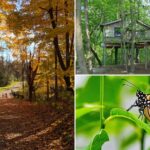 A Donated Dairy Farm Became This 383-Acre Michigan Preserve With Trails And A Butterfly House