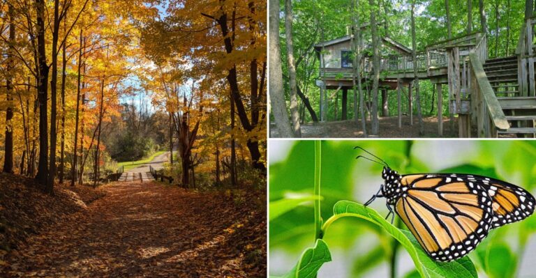 A Donated Dairy Farm Became This 383-Acre Michigan Preserve With Trails And A Butterfly House