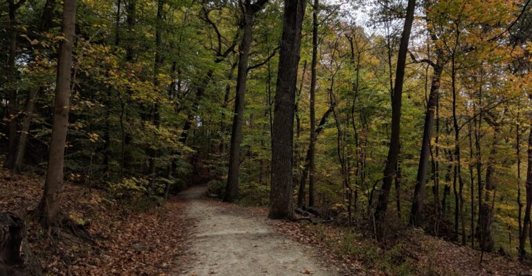 A Walk Through This Huge Pittsburgh Park Feels More Like Exploring A Hidden Forest