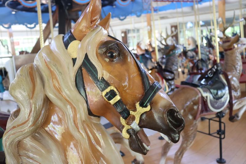 The Hand-Carved Animals Are the Real Headliners