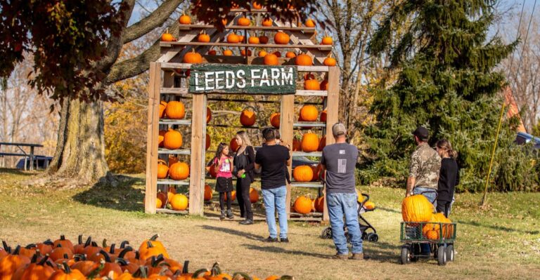 An Ohio Pumpkin Farm Throws An Adults-Only Harvest Night That Sells Out Quickly