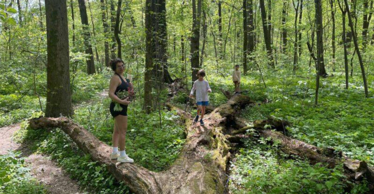 An Old-Growth Tennessee Forest Hiding In Memphis Offers A Peaceful Escape From The City