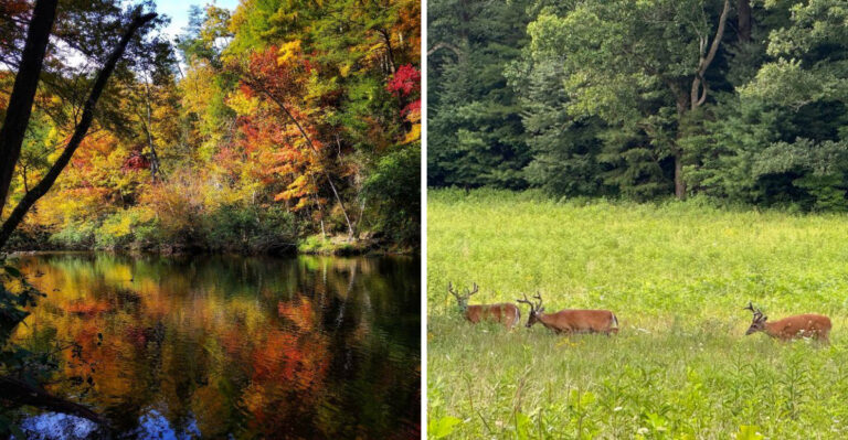 Autumn Colors Make This Tennessee Mountain Town Feel Like A Hidden Fairytale