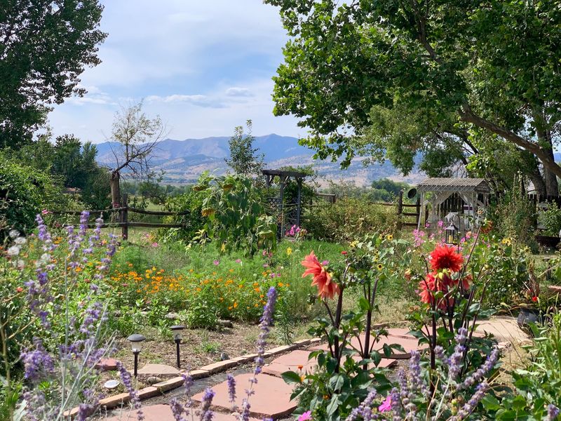 A Small Farm With Big Front Range Views A Small Farm With Big Front Range Views