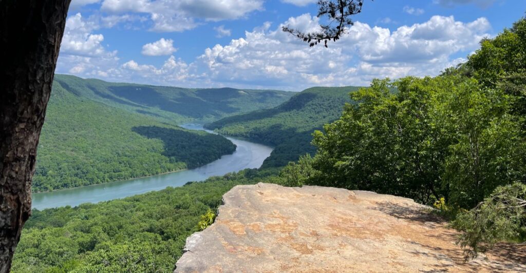 Big Mountain Views Await On These 9 Short East Tennessee Trails