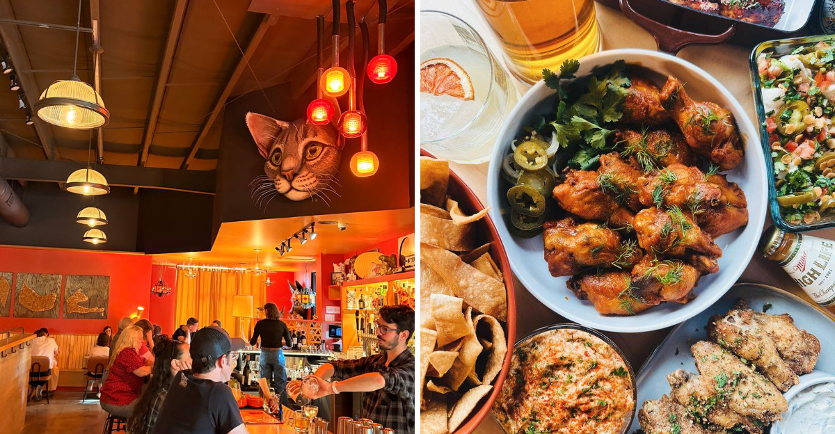 Cat Lovers Will Fall In Love With This Adorable Themed Restaurant Hiding In North Carolina