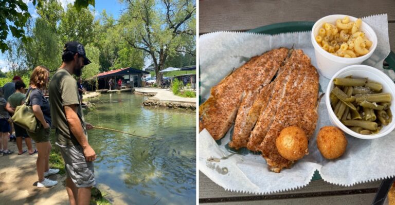 Catch Your Own Trout And Enjoy It Fresh At This Tennessee Fish Camp