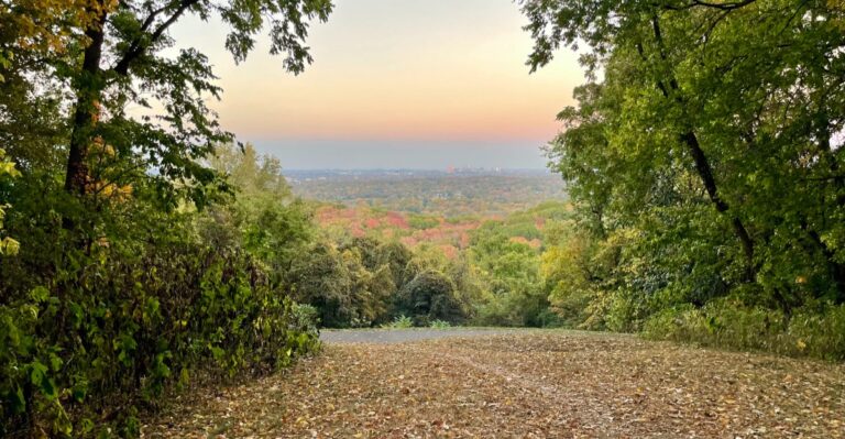 Colorful Leaves Steal The Show Along These 7 Nashville, Tennessee Trails